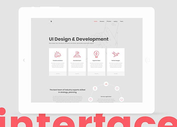 UI Design Company