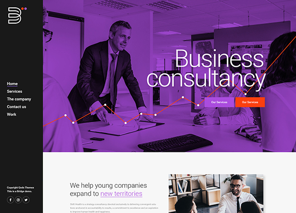 Business Consulting